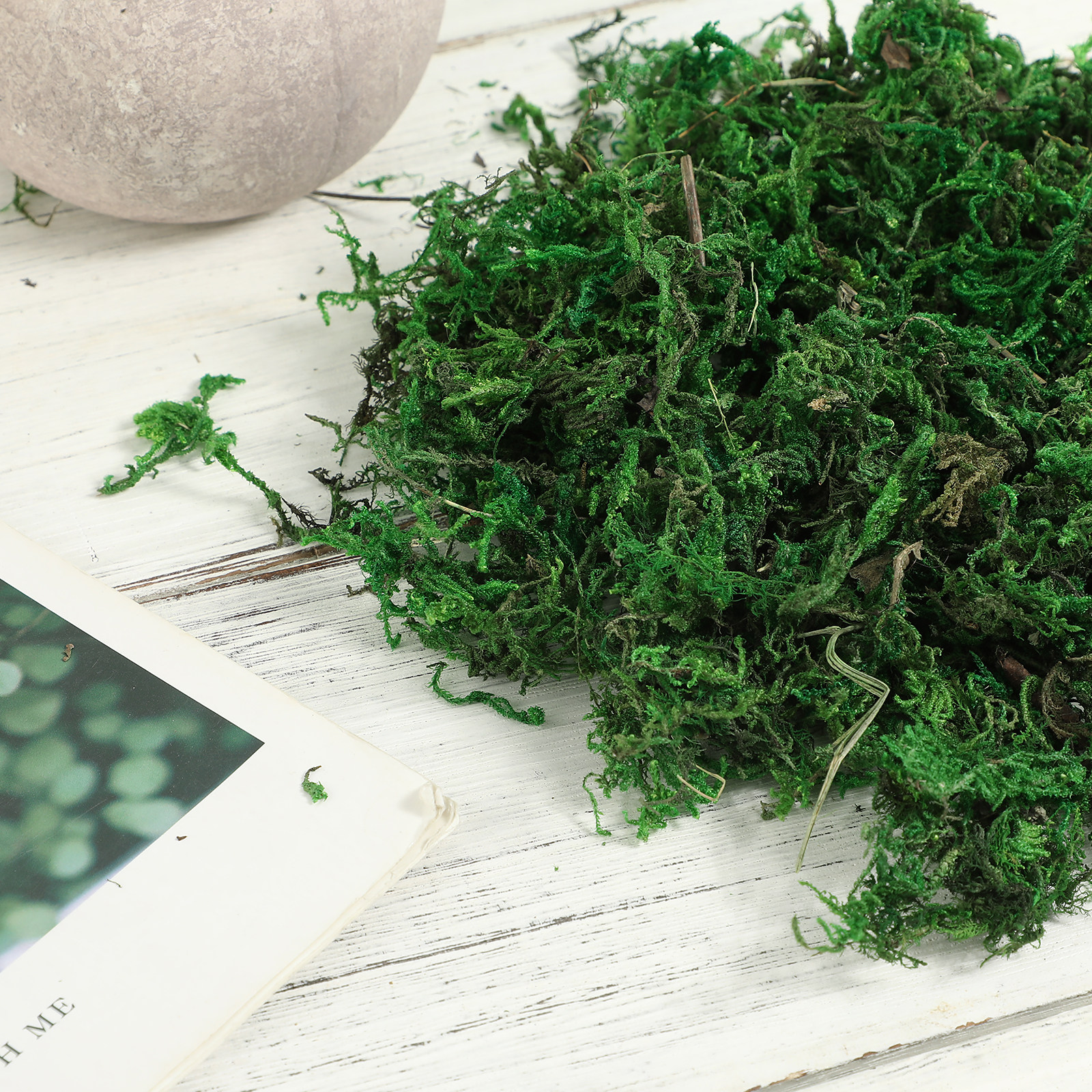 Sphagnum Moss Dry - 1Pack Natural-Looking Fake Moss Decor for