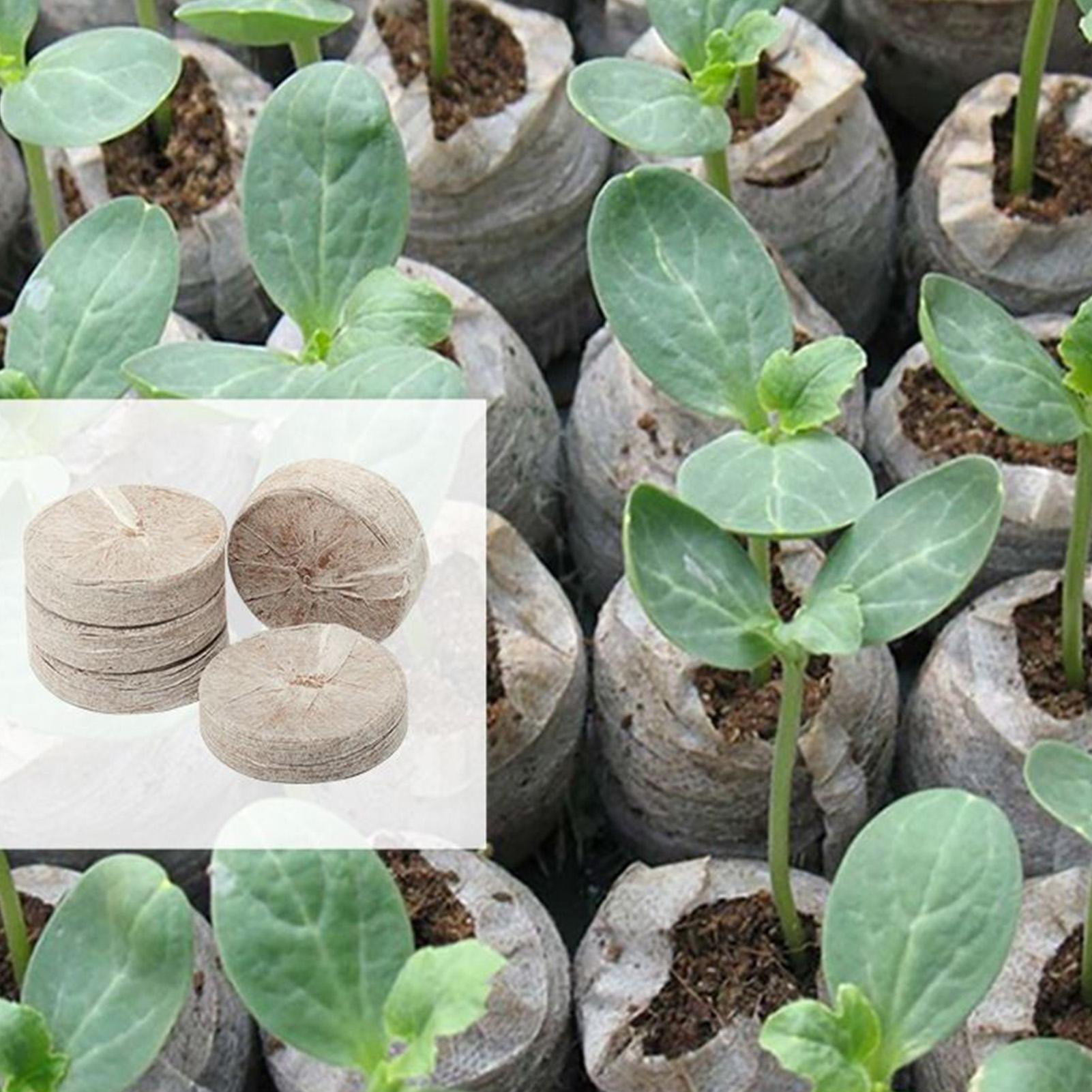 Peat Pellets 100 Piece Potting - огляд і ціна Peat Pellet Tray