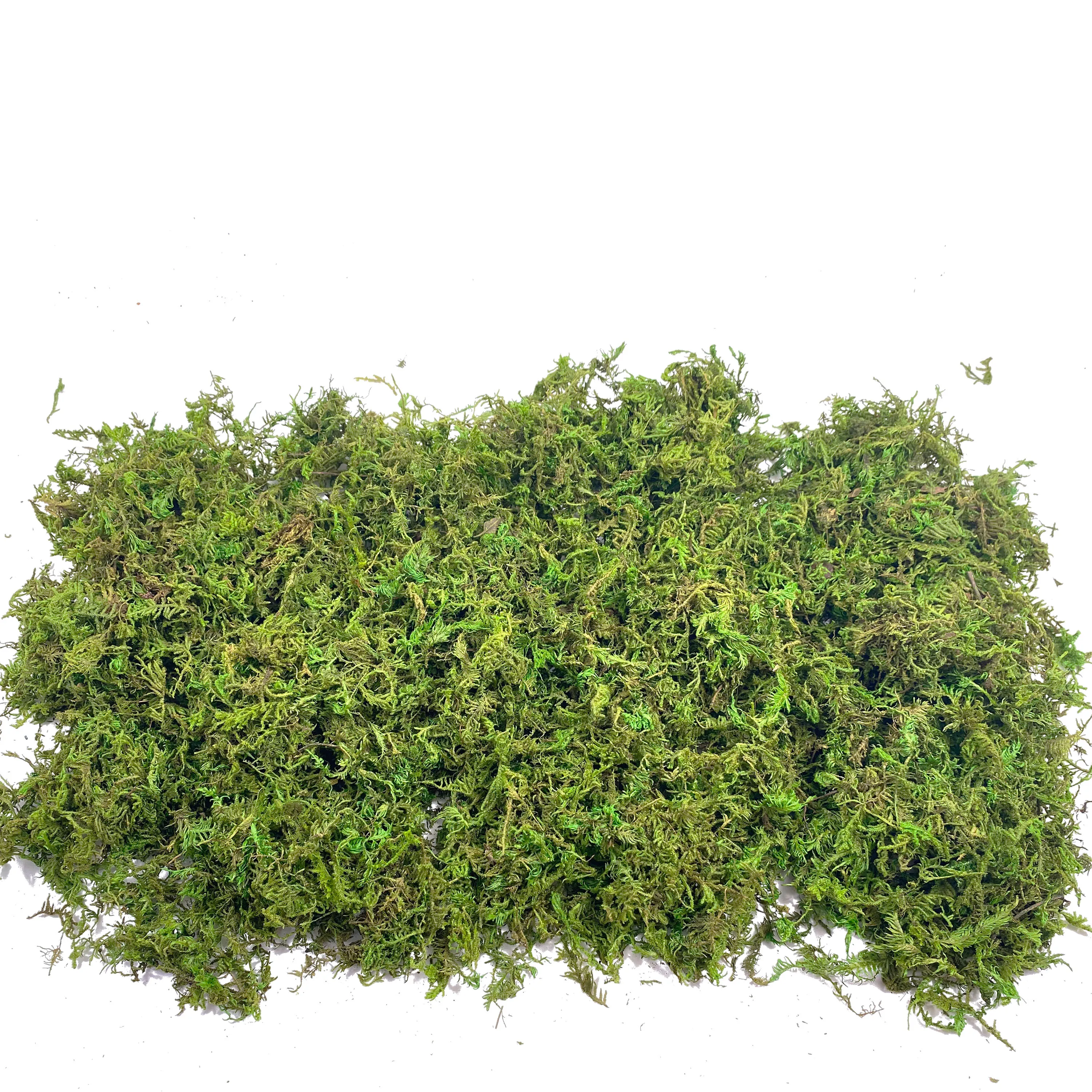 Fake Moss Artificial Moss for  - огляд і ціна Sphagnum Moss Dry