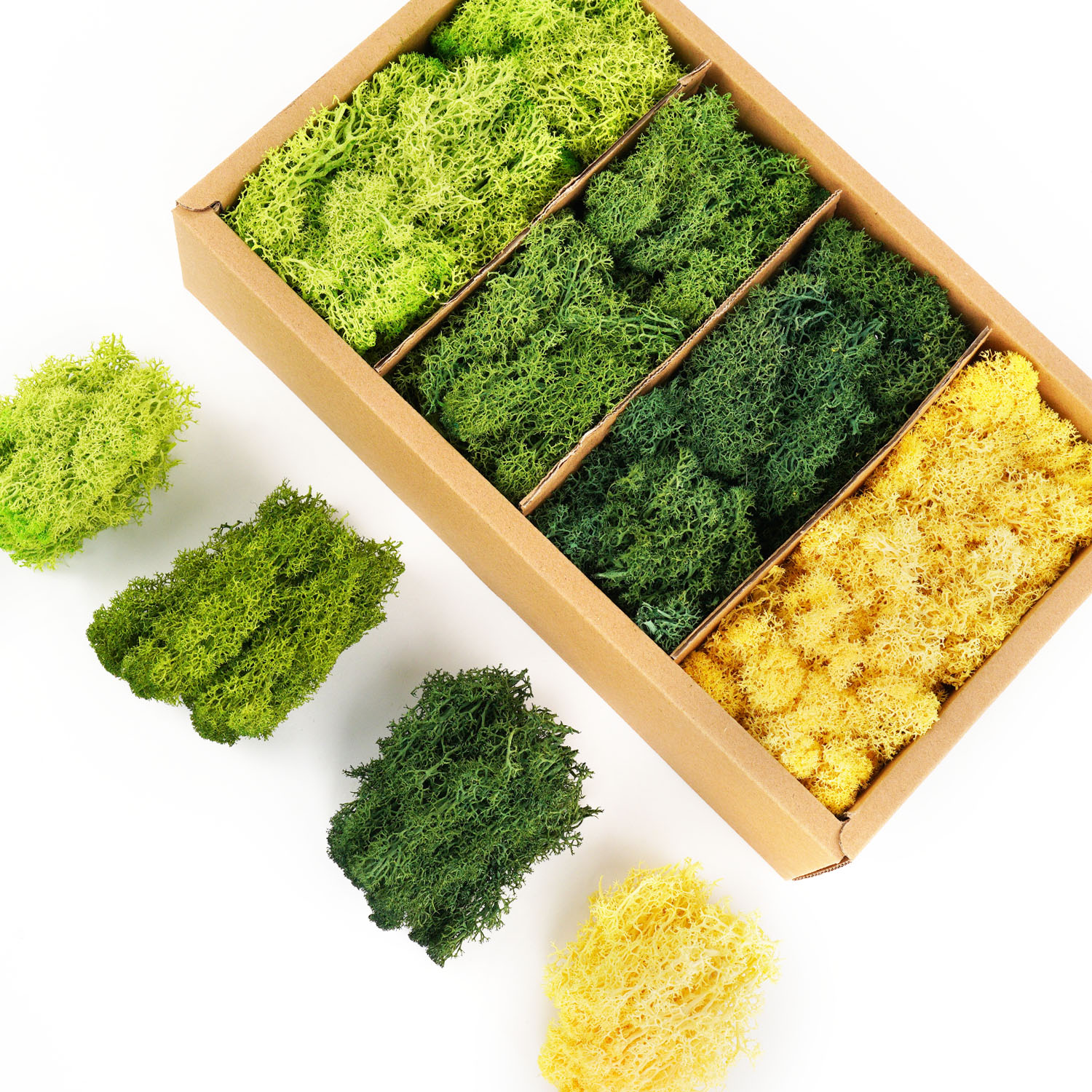 Artificial Green Plants Eterna - огляд і ціна Sphagnum Moss Dry
