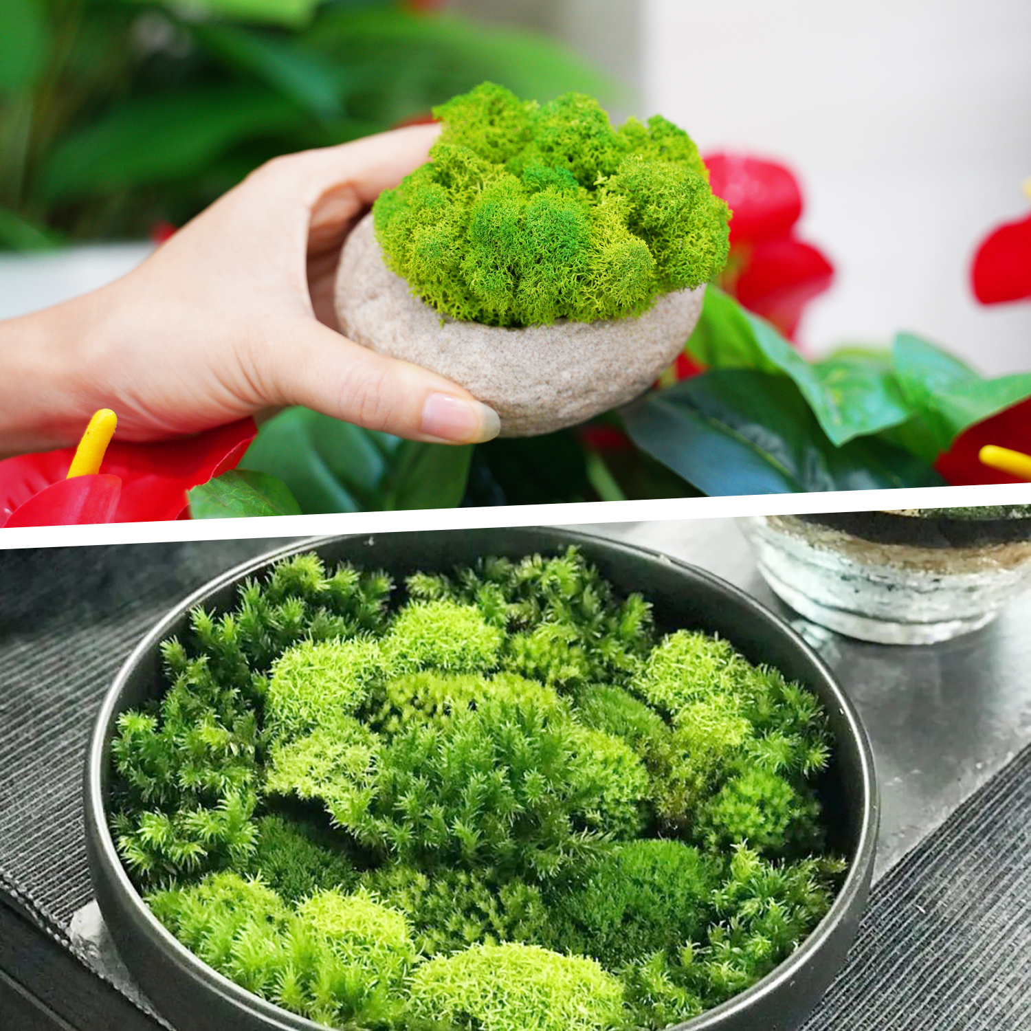 Artificial Green Plants Eterna - огляд і ціна Sphagnum Moss Dry