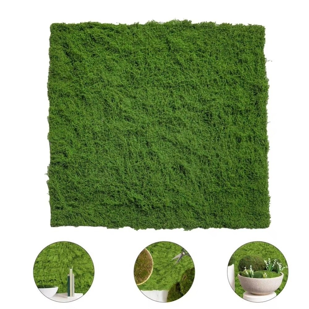 DIY Artificial Grass Rug Lifel - огляд і ціна Sphagnum Moss Dry