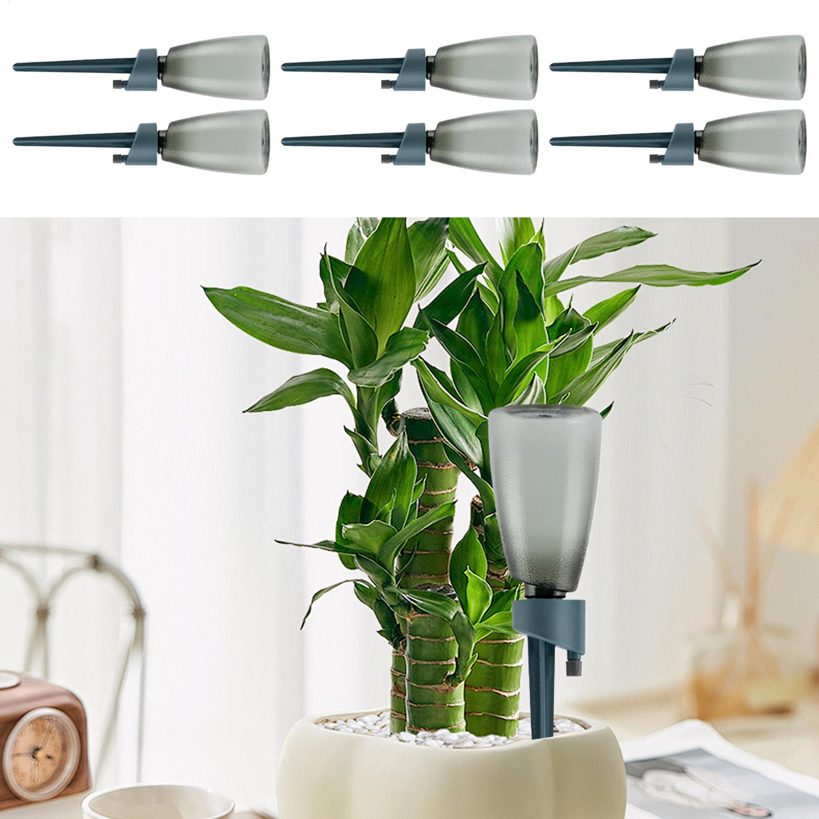 6pcs Automatic Waterer Househo - огляд і ціна Self Watering Insert