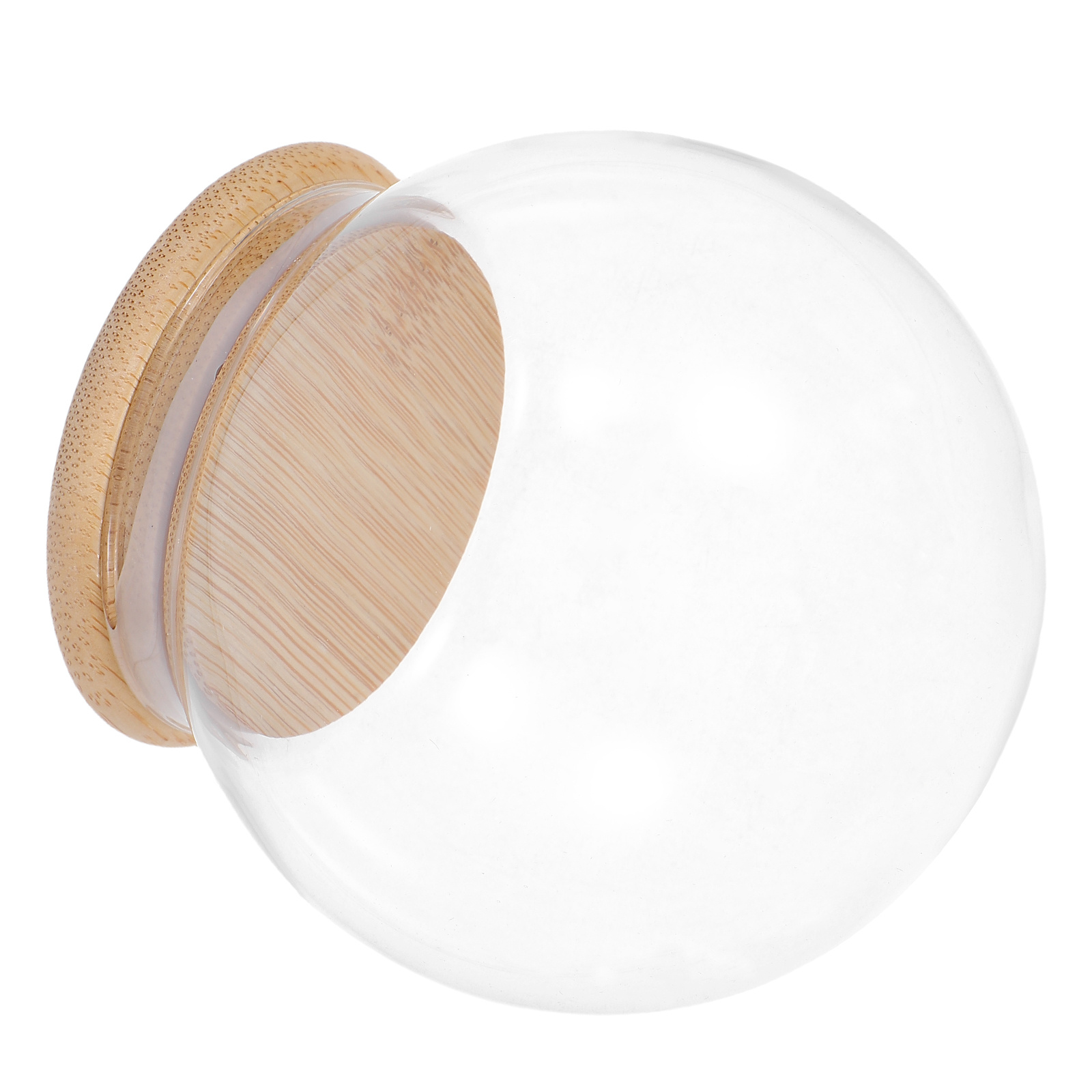 Glass Dome Eternal Flower Disp - огляд і ціна Plastic Dome Clear