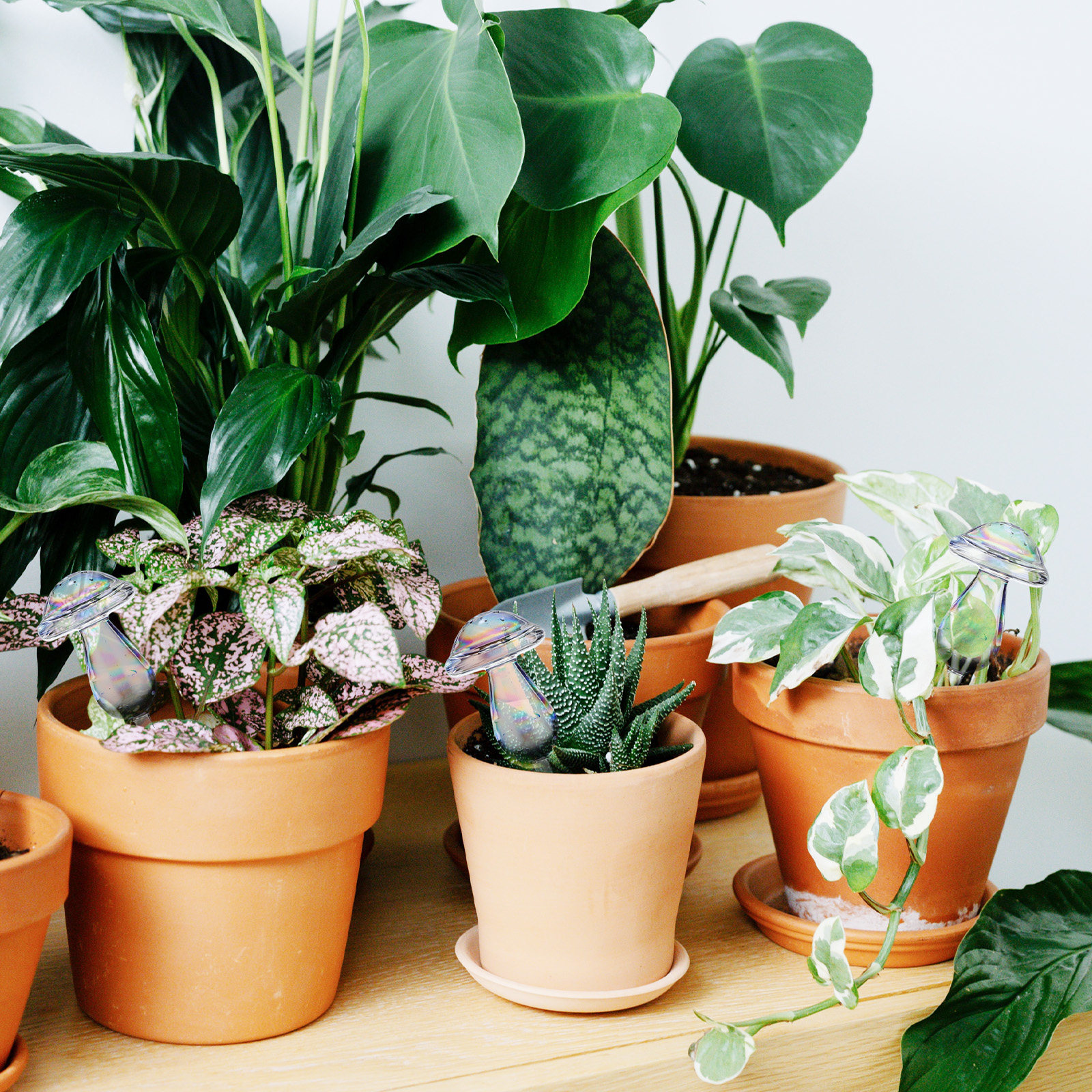 4 Pcs Pot Watering Device Plan - огляд і ціна Self Watering Insert