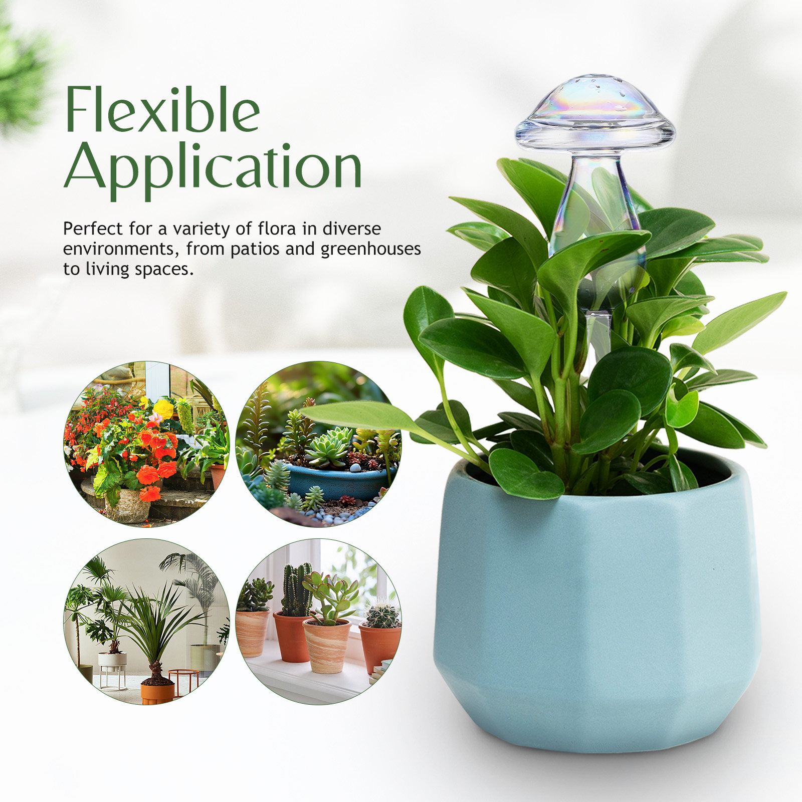 4 Pcs Pot Watering Device Plan - огляд і ціна Self Watering Insert