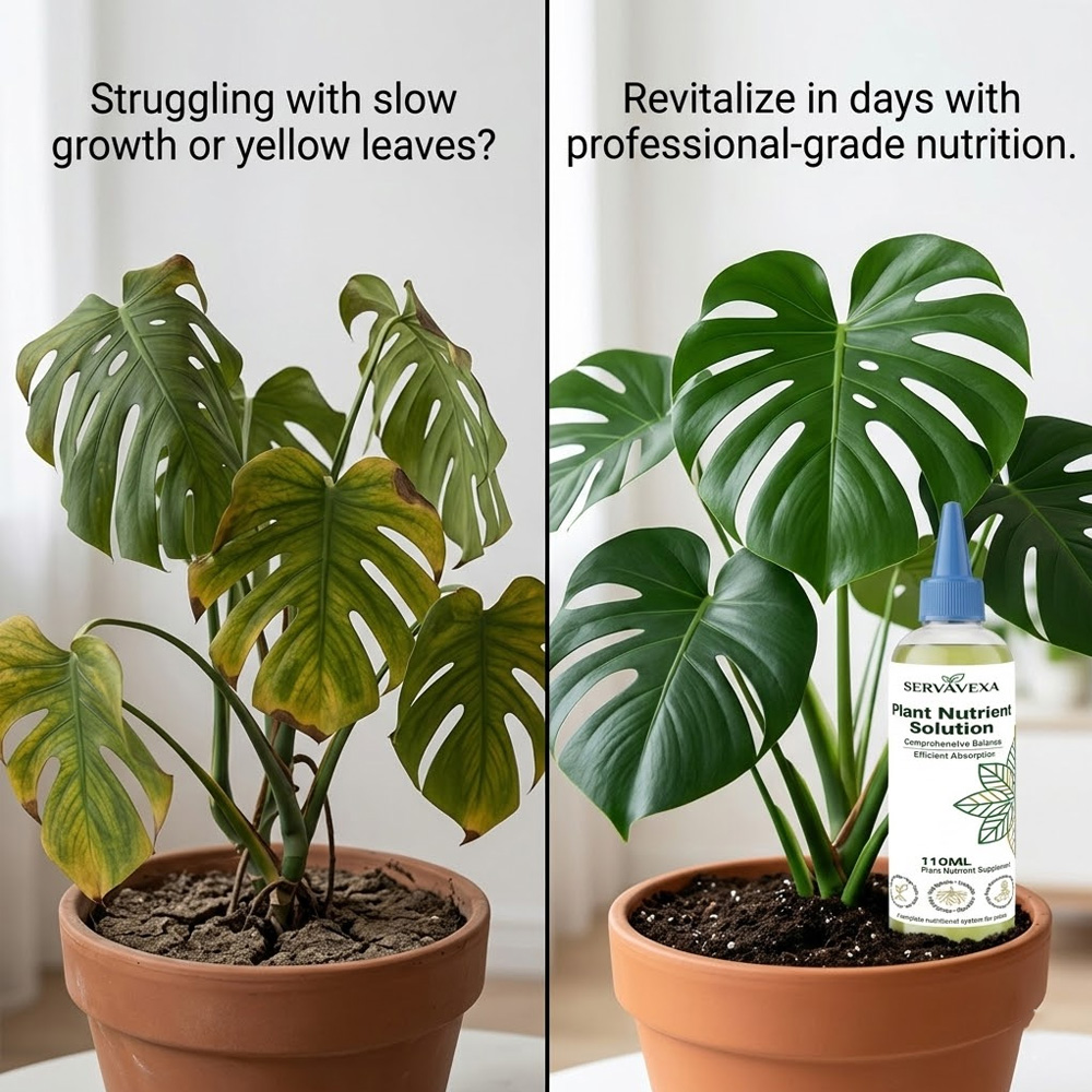 Plant  Nutrient Solution Rapid - огляд і ціна Root Stimulator Liquid