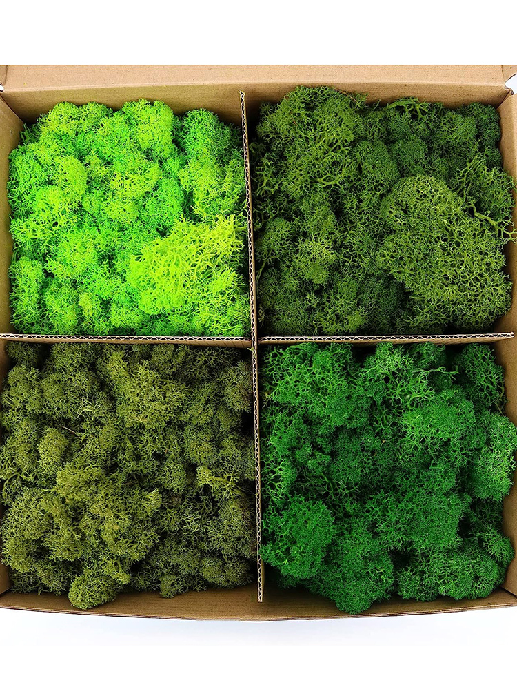 20/40/60g Eternal Life Moss Ar - огляд і ціна Sphagnum Moss Dry