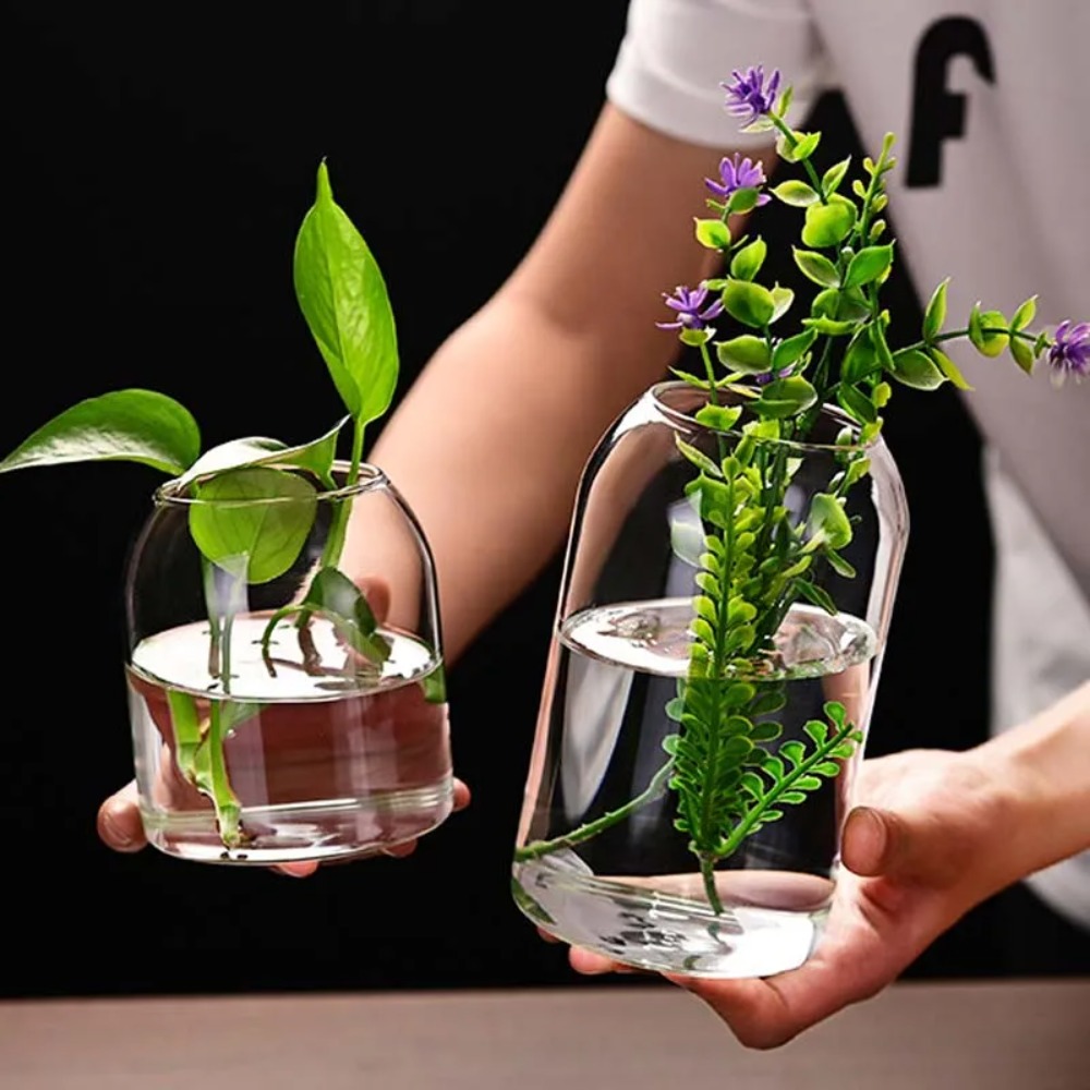 Creative Hydroponic Plant Glas - огляд і ціна Propagation Station Vase
