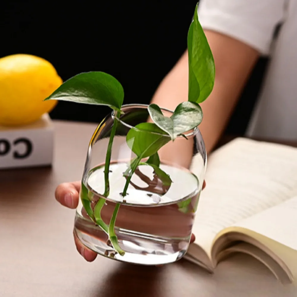 Creative Hydroponic Plant Glas - огляд і ціна Propagation Station Vase