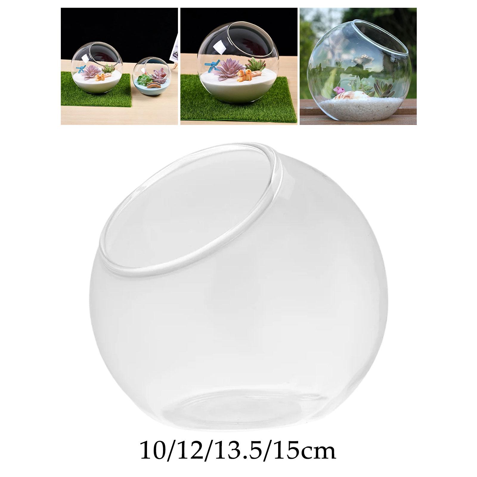 Terrarium Glass Vase Unique Ce - огляд і ціна Propagation Station Vase