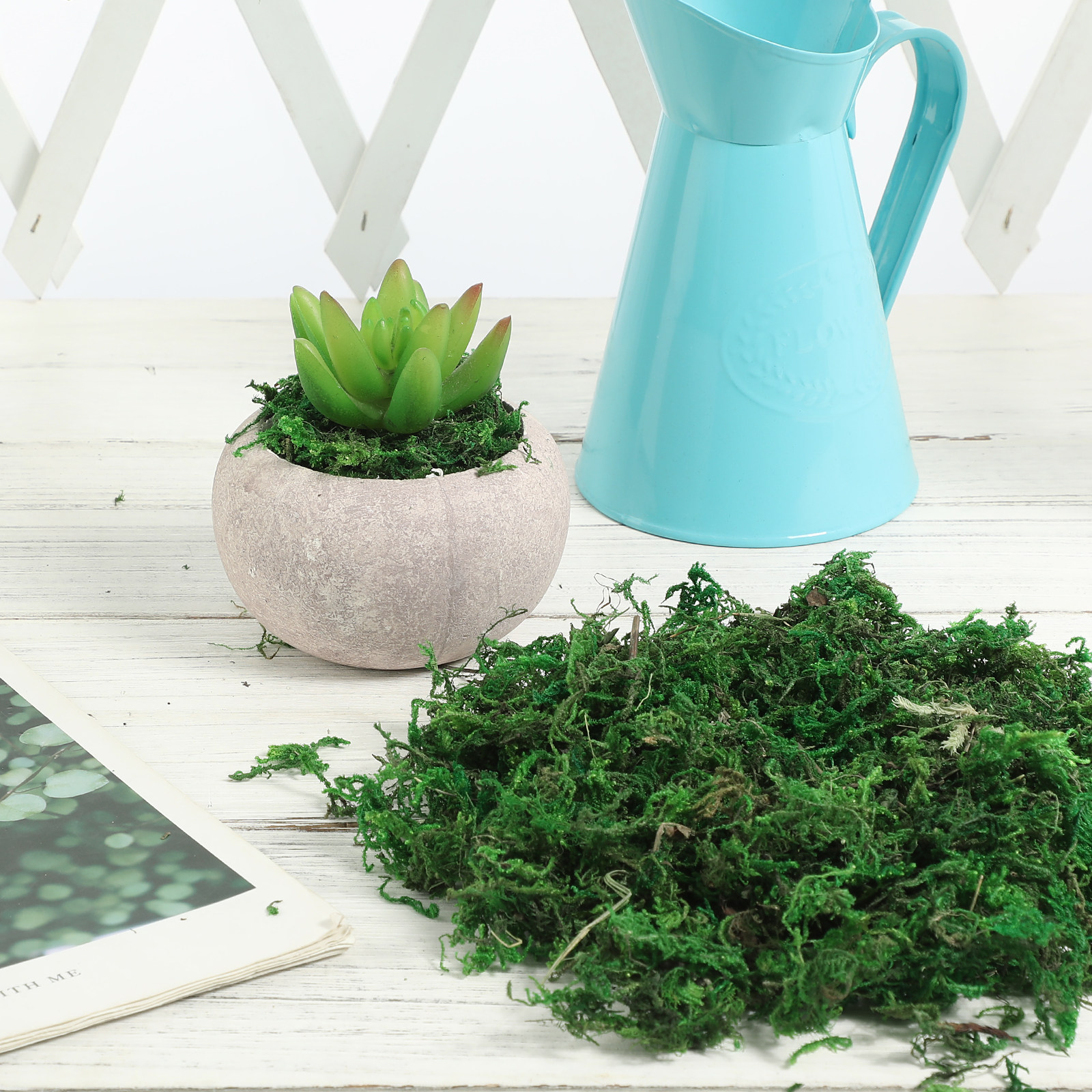 1Pack Natural-Looking Fake Mos - огляд і ціна Sphagnum Moss Dry