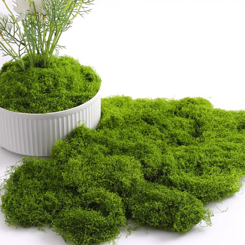 20/40/100g Eternal Life Moss D - огляд і ціна Sphagnum Moss Dry