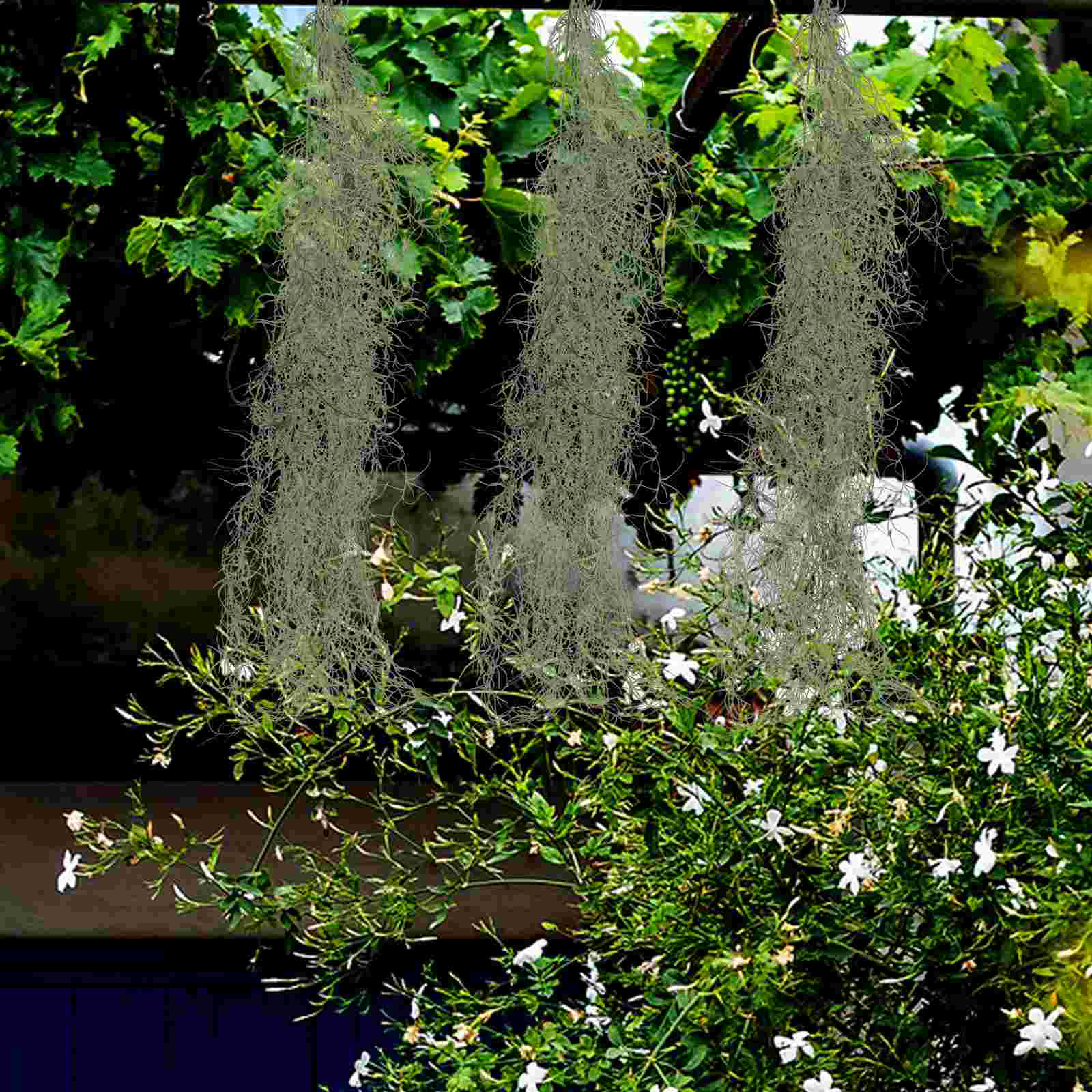 Hanging Decor Artificial Dried - огляд і ціна Sphagnum Moss Dry