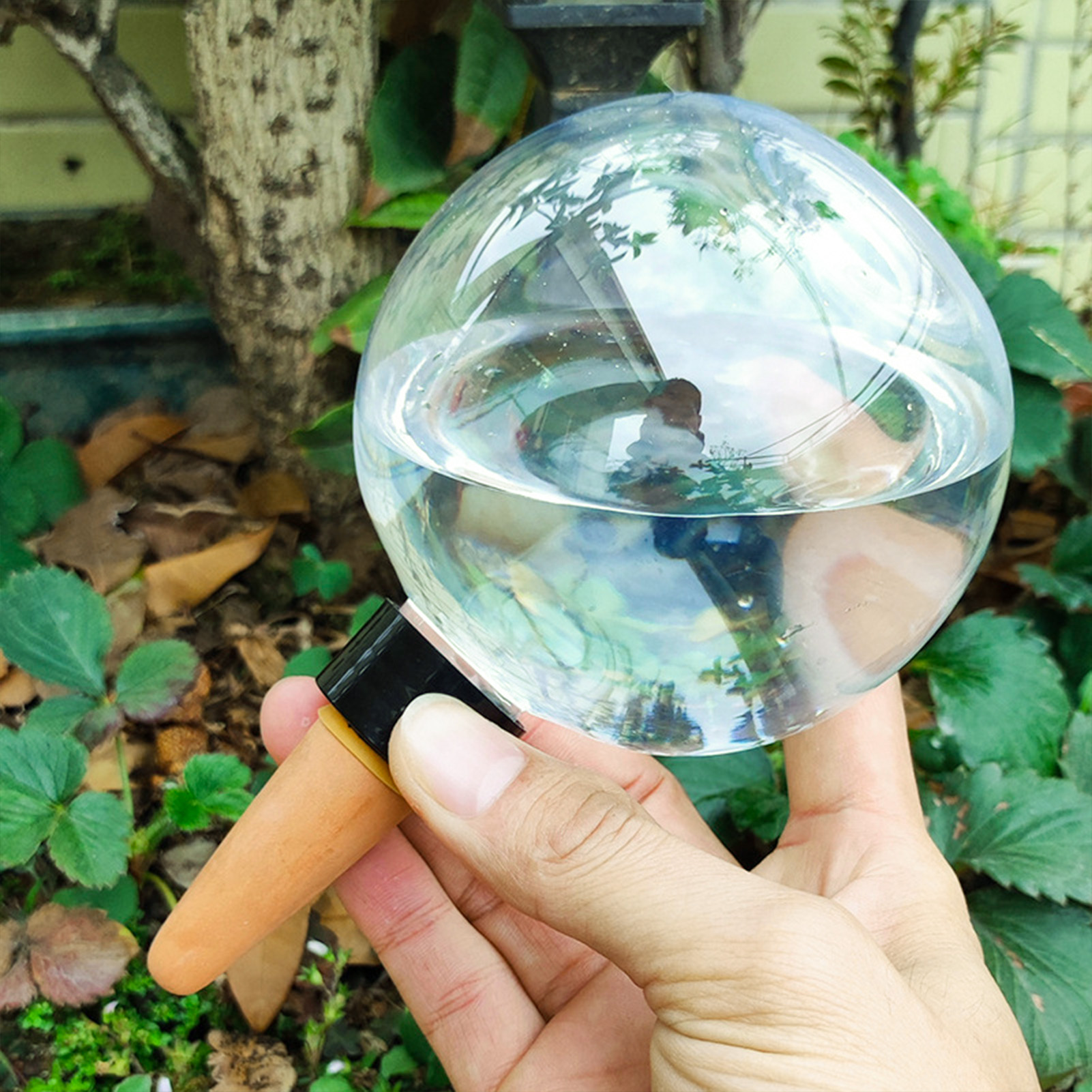 500ML Automatic Plant Watering - огляд і ціна Self Watering Insert