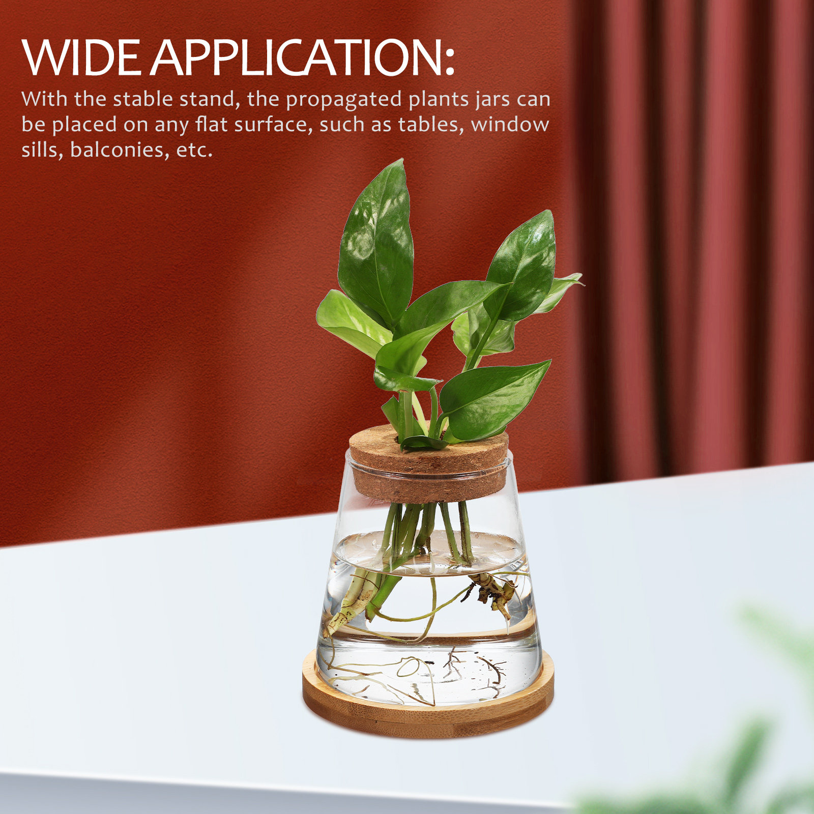 2Pcs Hydroponic Plants Propaga - огляд і ціна Propagation Station Vase