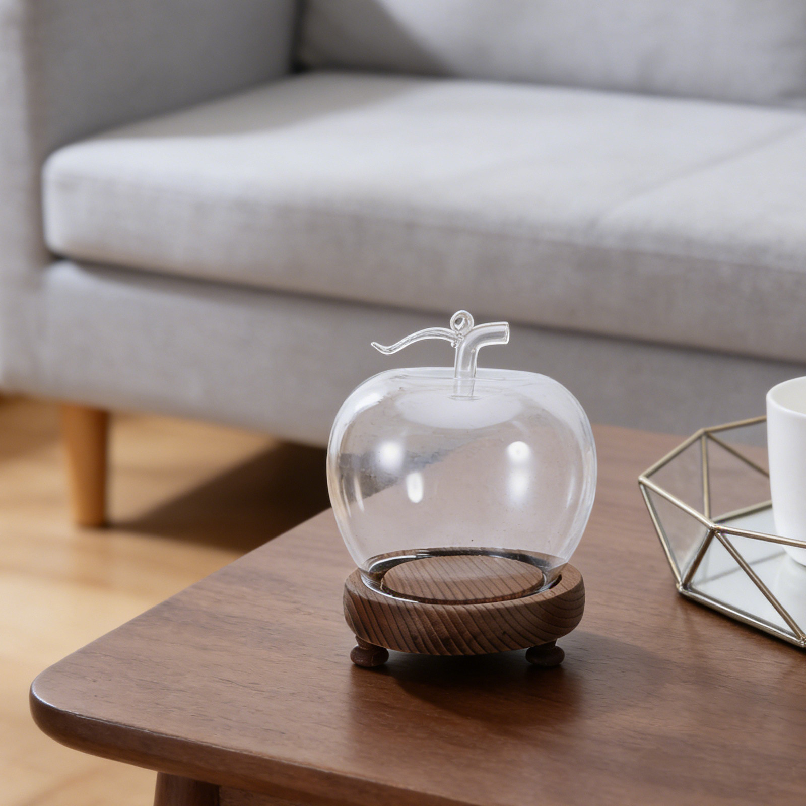 Clear Glass Dome Display with  - огляд і ціна Plastic Dome Clear