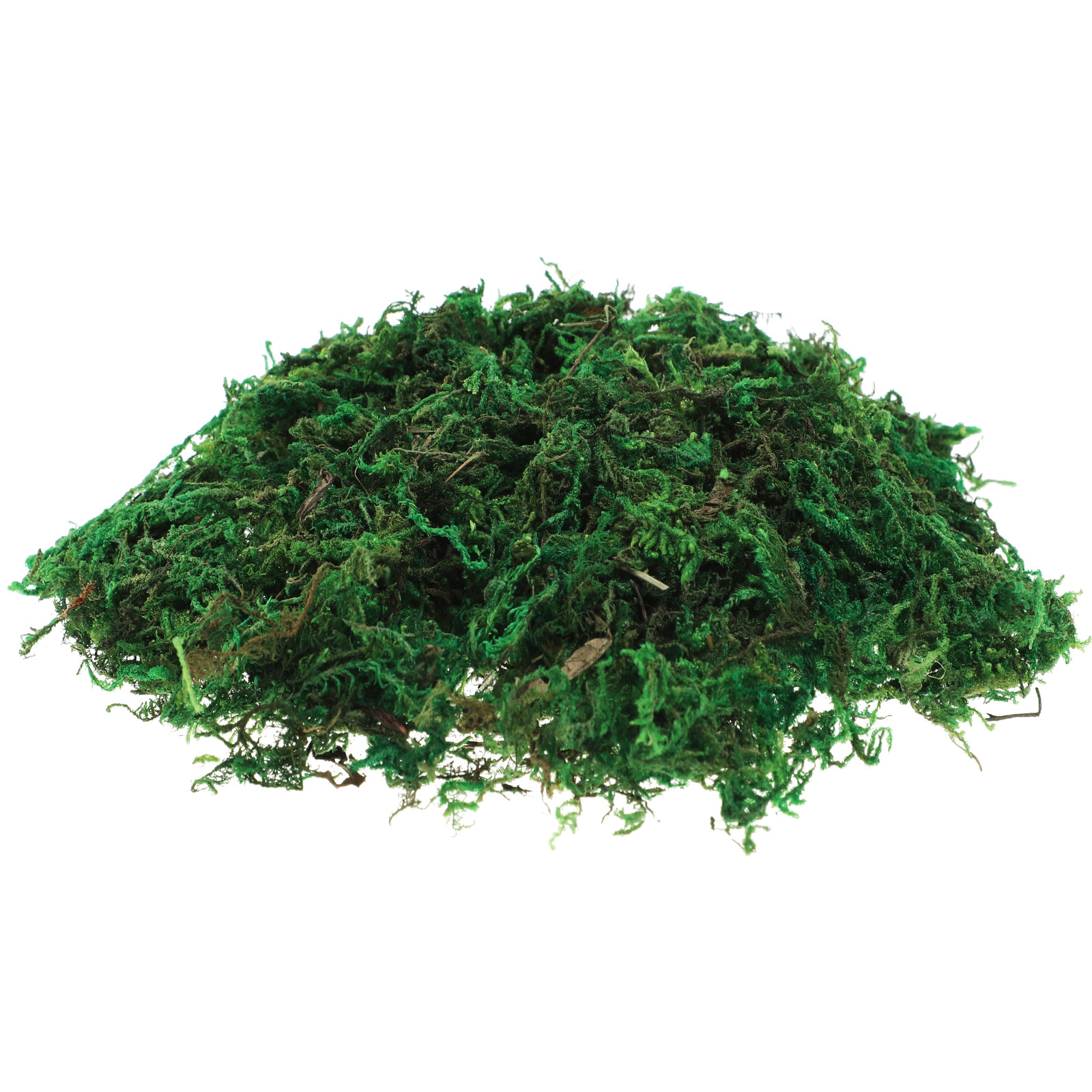 1Pack Soft Touch Preserved Ter - огляд і ціна Sphagnum Moss Dry