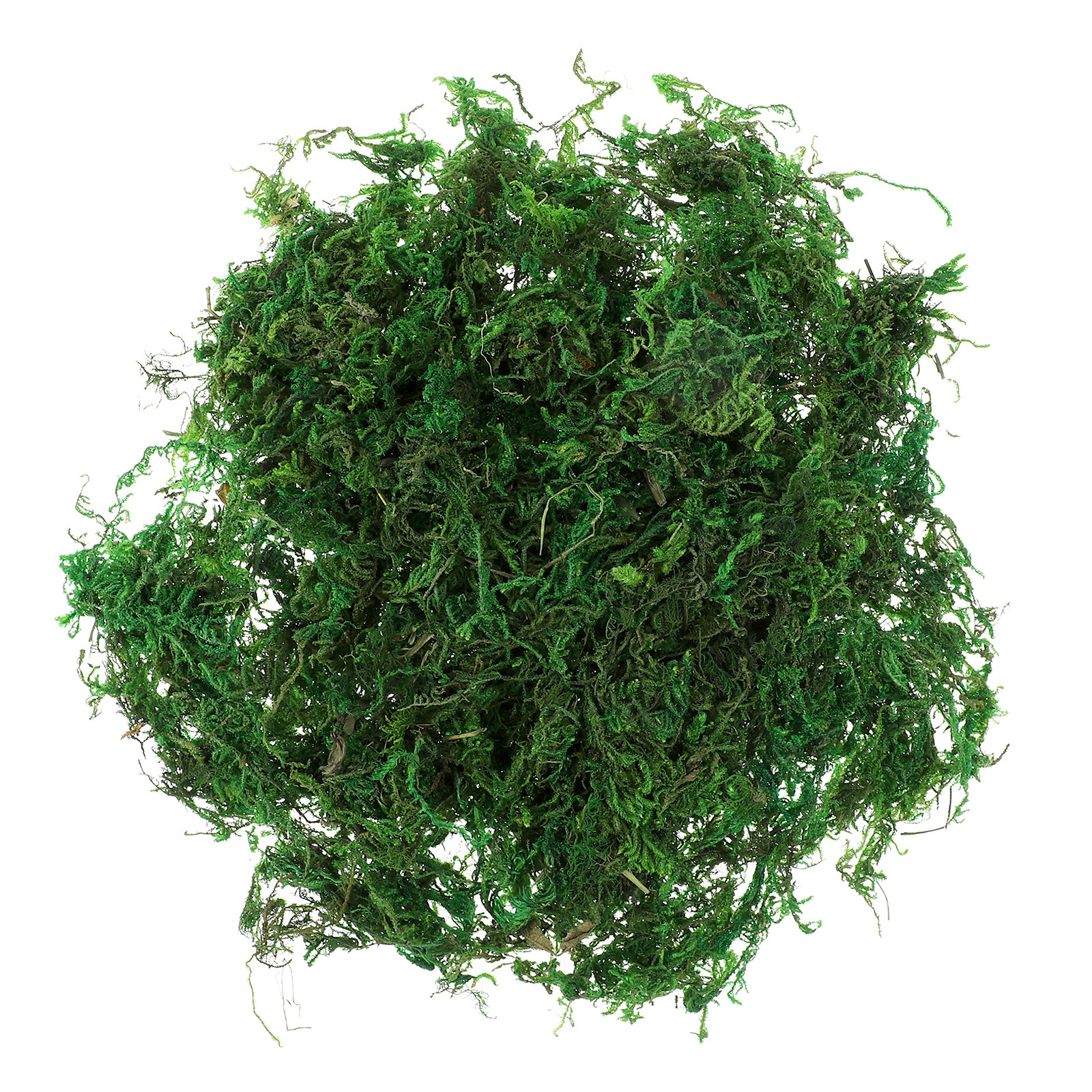 1Pack Soft Touch Preserved Ter - огляд і ціна Sphagnum Moss Dry