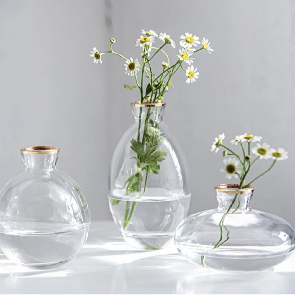 Nordic Transparent Glass Vase  - огляд і ціна Propagation Station Vase