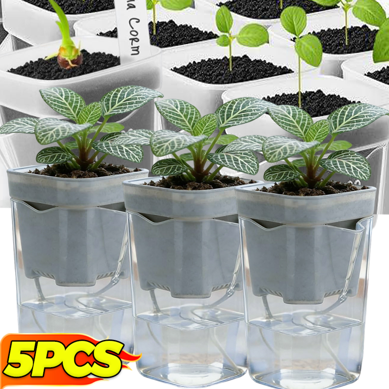 Transparent Flower Plant Pot S - огляд і ціна Self Watering Insert