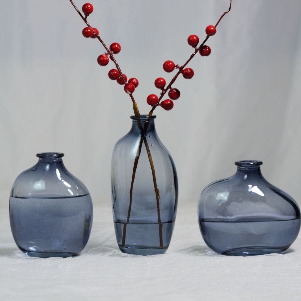 Fashion Retro Flower Vase Glas - огляд і ціна Propagation Station Vase