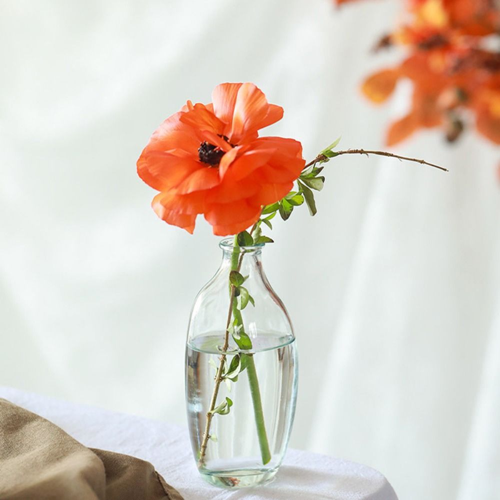 Fashion Retro Flower Vase Glas - огляд і ціна Propagation Station Vase