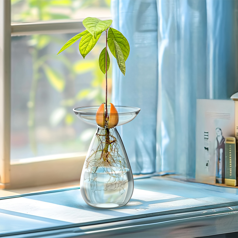 Avocado Seed Starter Vase Tran - огляд і ціна Propagation Station Vase