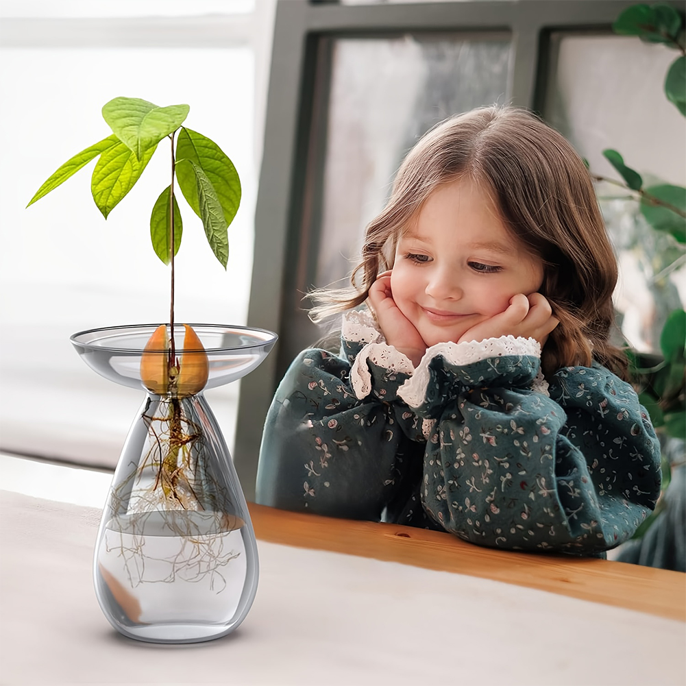 Avocado Seed Starter Vase Tran - огляд і ціна Propagation Station Vase