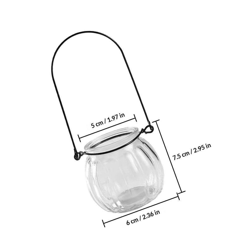 6Pcs Clear Glass Wall Planters - огляд і ціна Propagation Station Vase