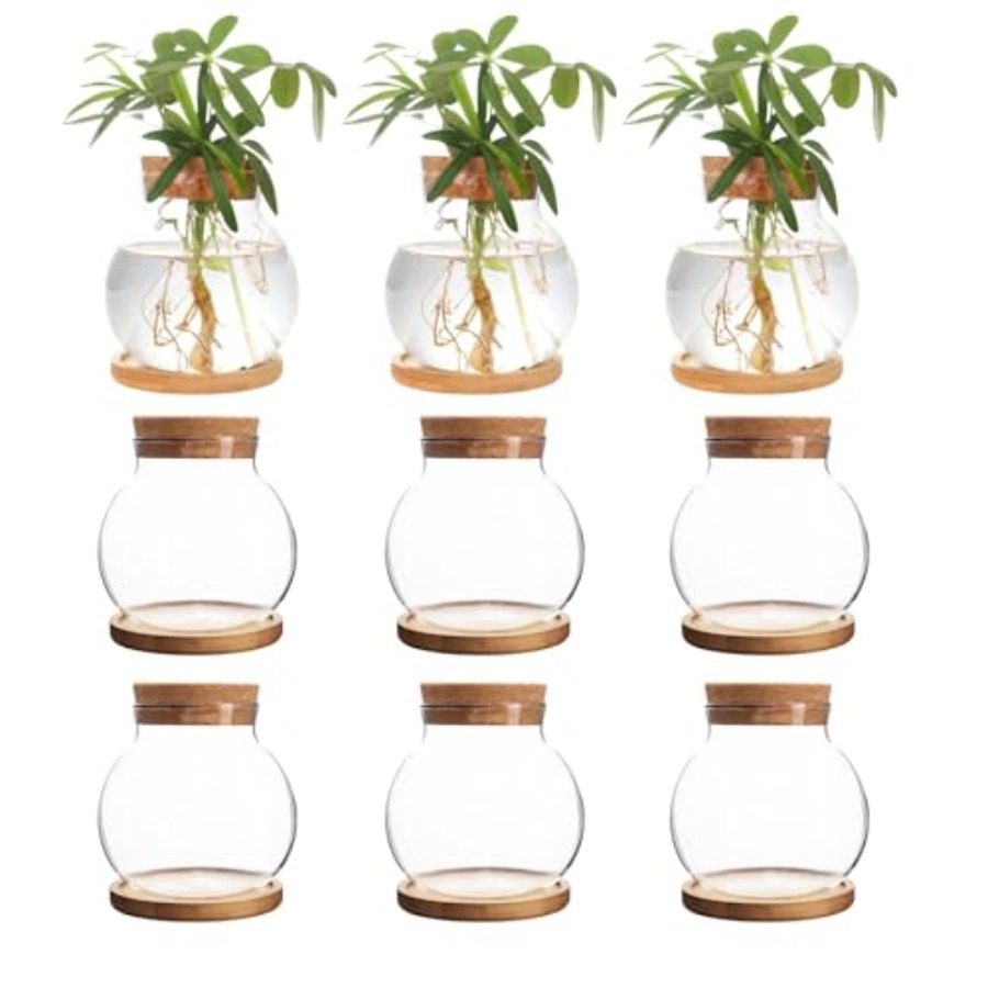 Plant Propagation Station, Hyd - огляд і ціна Propagation Station Vase