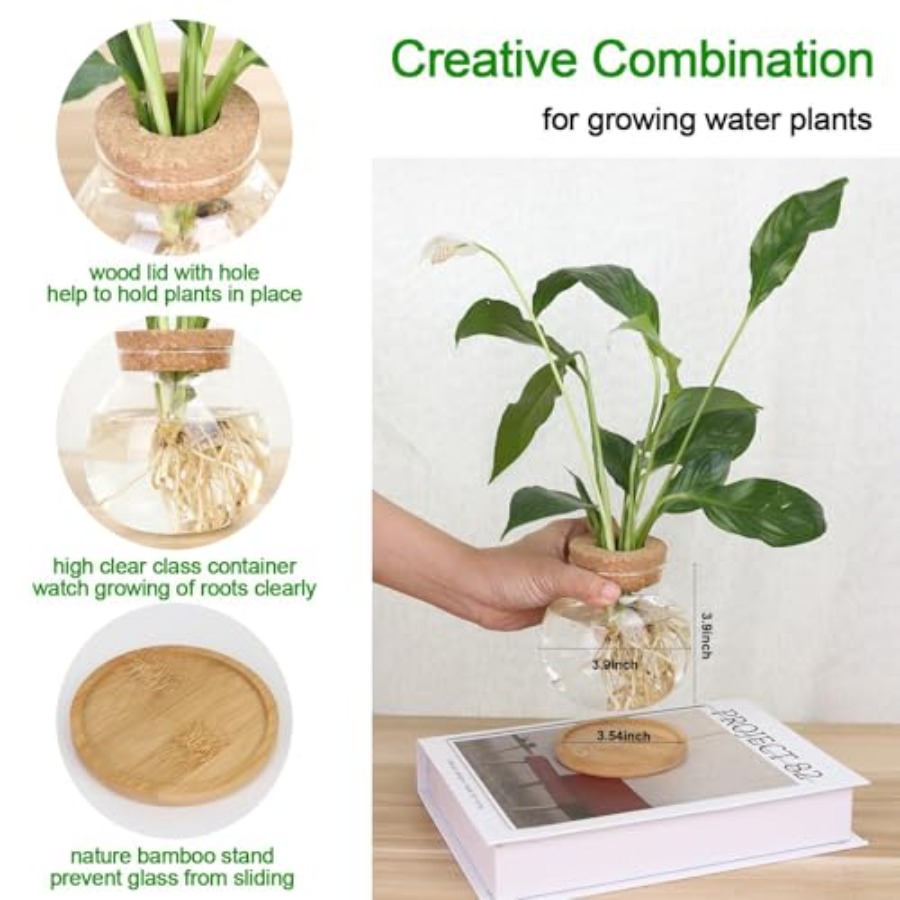 Plant Propagation Station, Hyd - огляд і ціна Propagation Station Vase