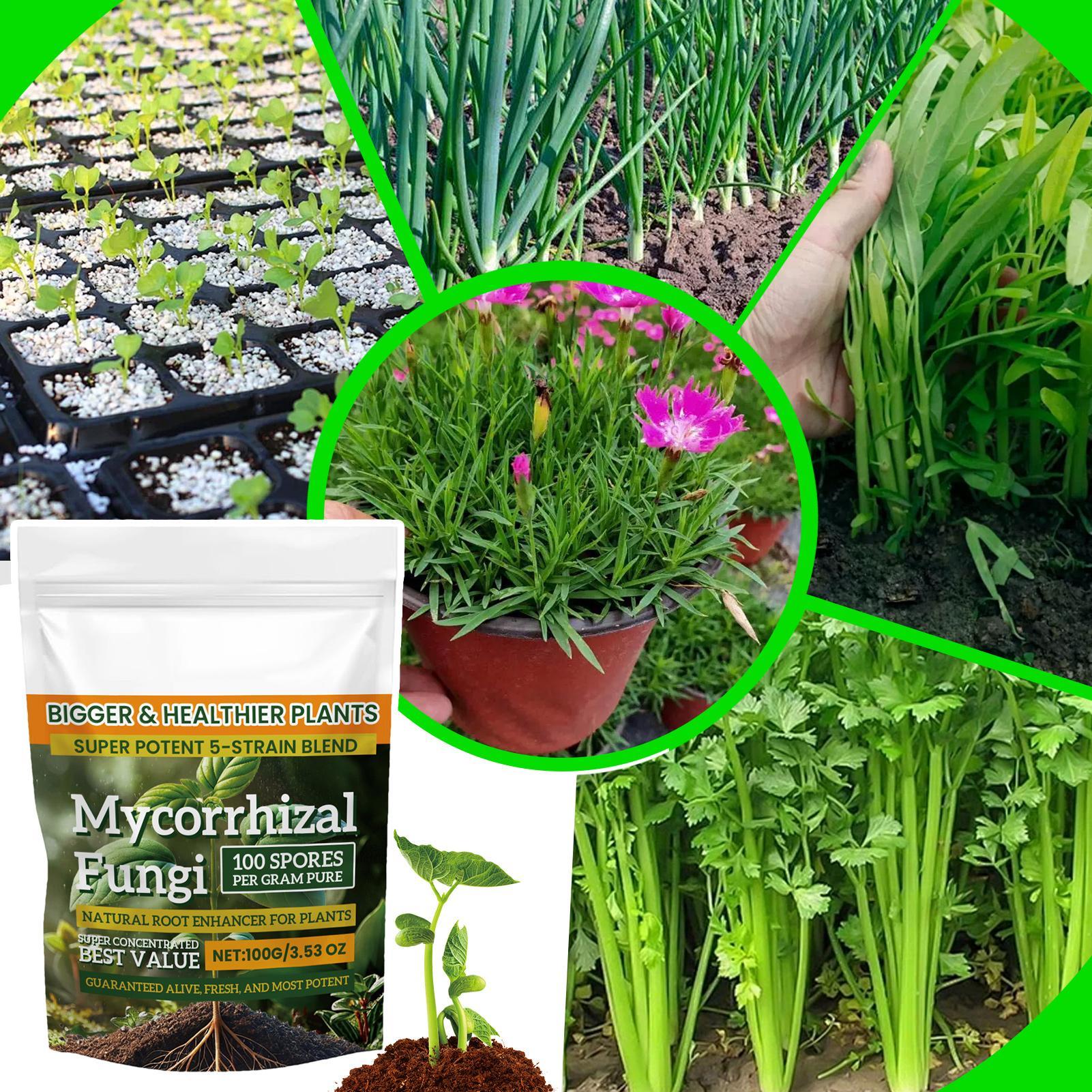 Natural Plants Root Enhancer P - огляд і ціна Rooting Hormone Powder