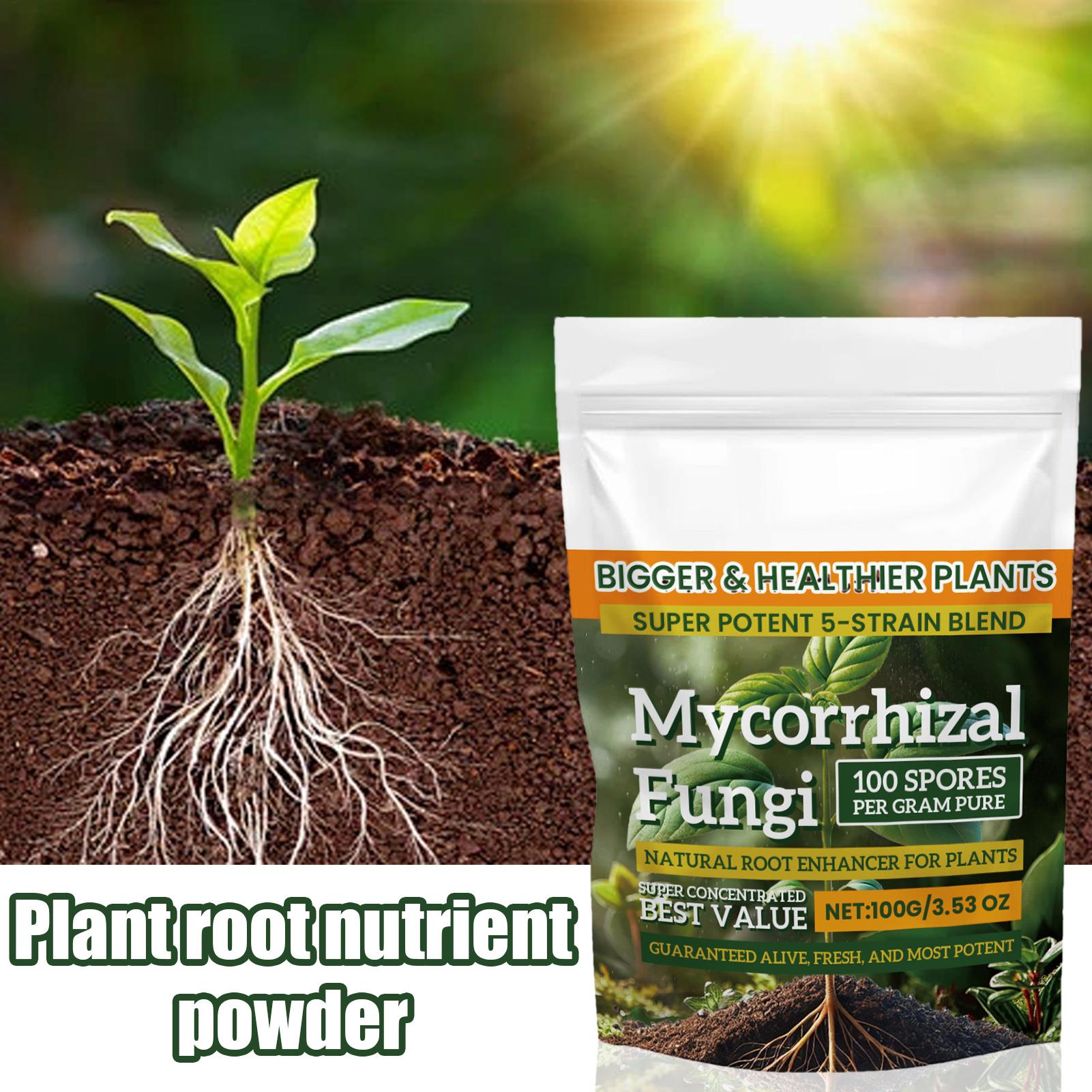 Natural Plants Root Enhancer P - огляд і ціна Rooting Hormone Powder