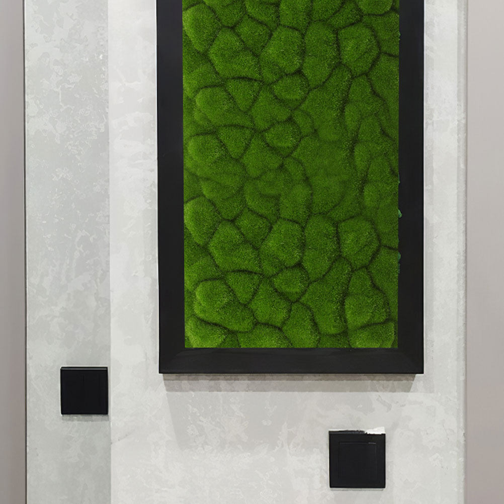 2Pcs Simulation Moss Decor Art - огляд і ціна Sphagnum Moss Dry
