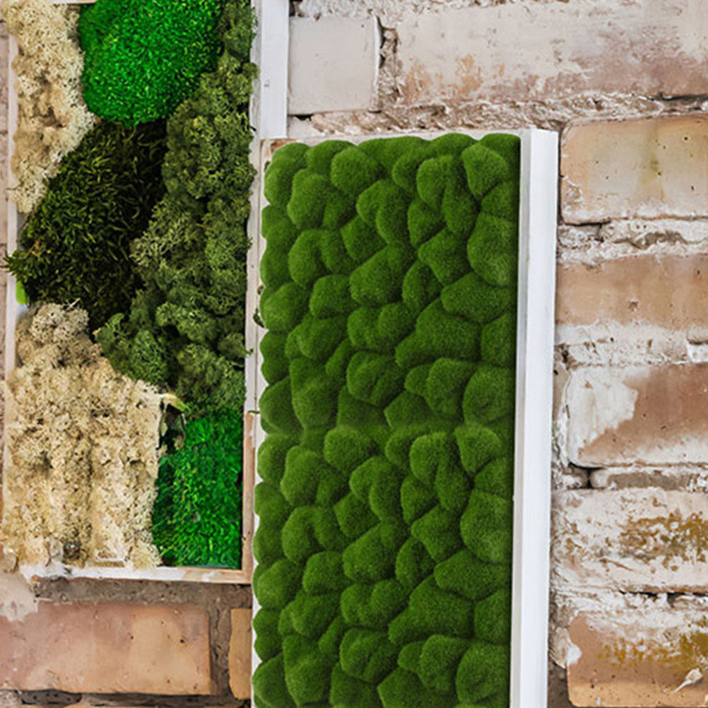 2Pcs Simulation Moss Decor Art - огляд і ціна Sphagnum Moss Dry