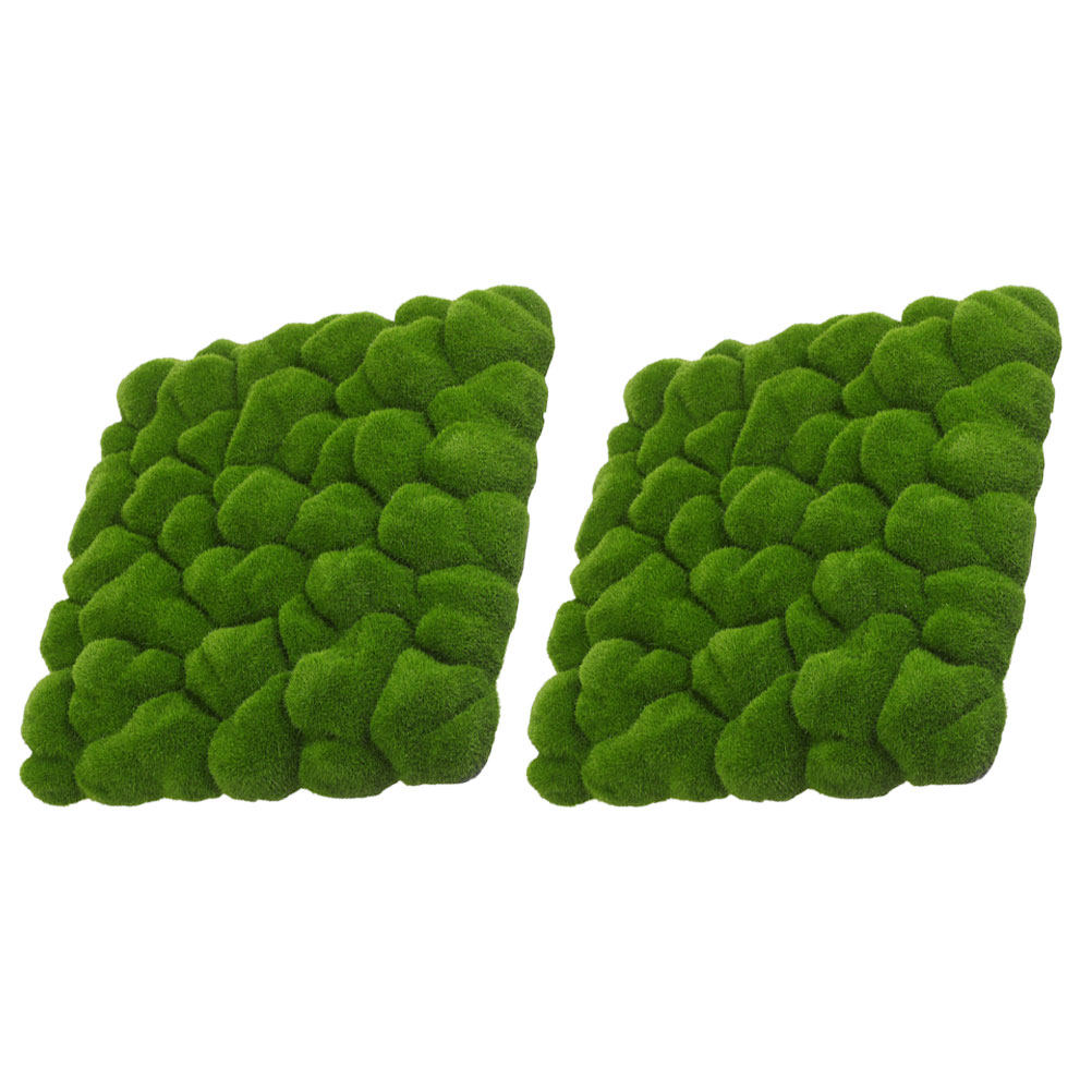 2Pcs Simulation Moss Decor Art - огляд і ціна Sphagnum Moss Dry
