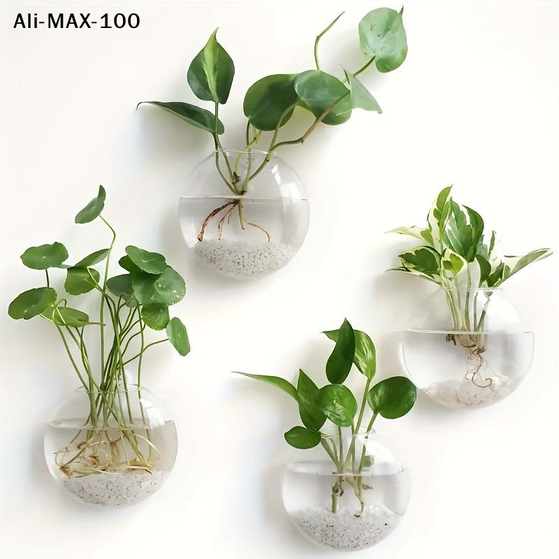 【MA3】Wall Hanging Glass Plant  - огляд і ціна Propagation Station Vase