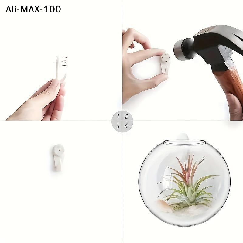 【MA3】Wall Hanging Glass Plant  - огляд і ціна Propagation Station Vase