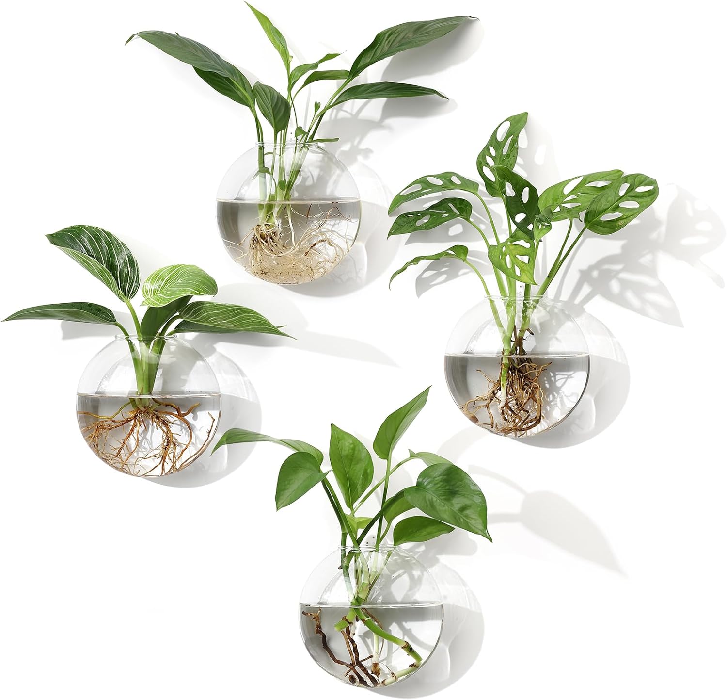 4Pcs Wall Hanging Propagation  - огляд і ціна Propagation Station Vase
