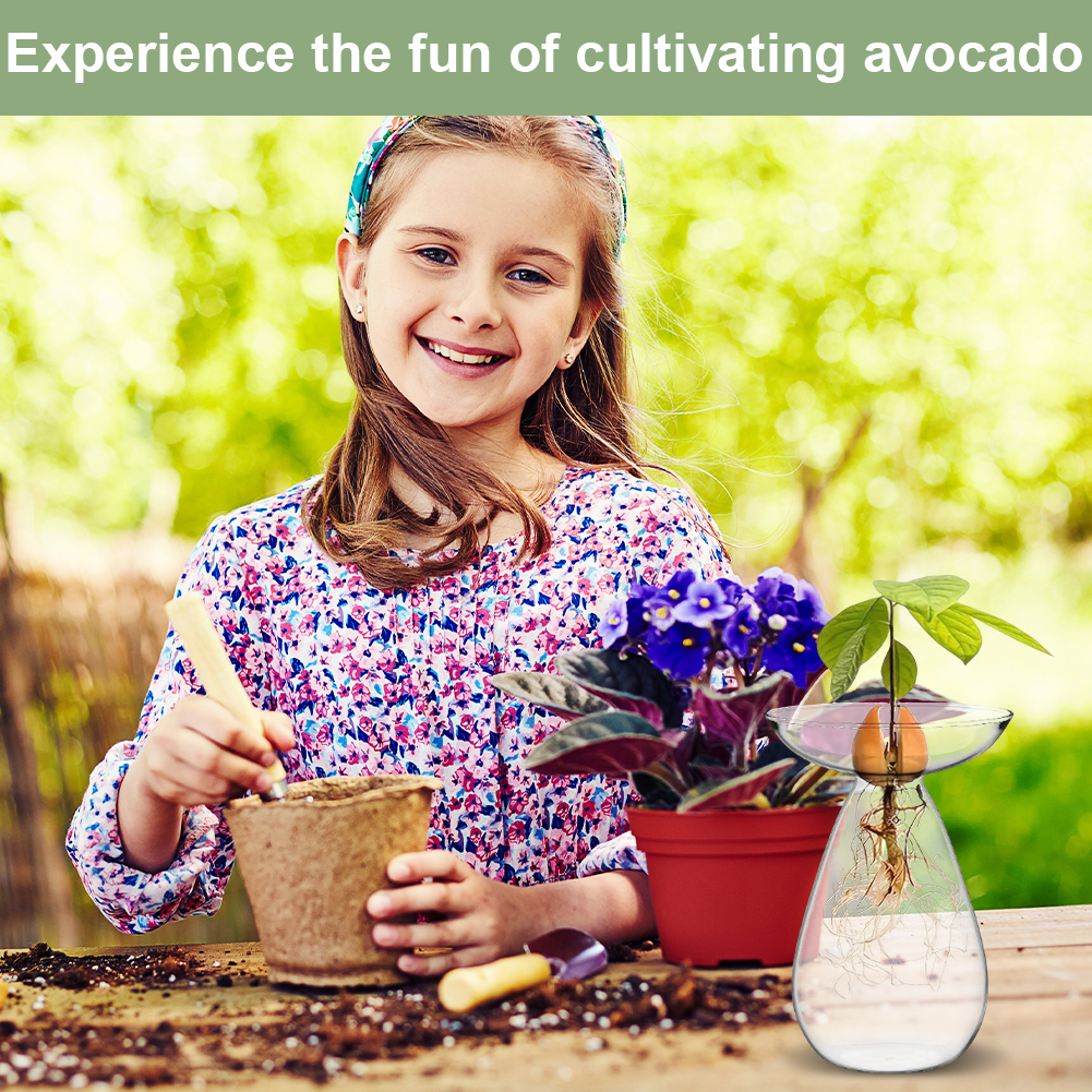 Avocado Seed Starter Vase Tran - огляд і ціна Propagation Station Vase